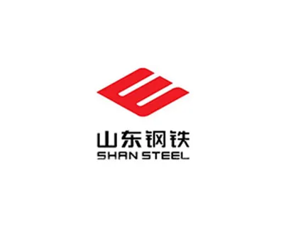 Shandong Iron and Steel