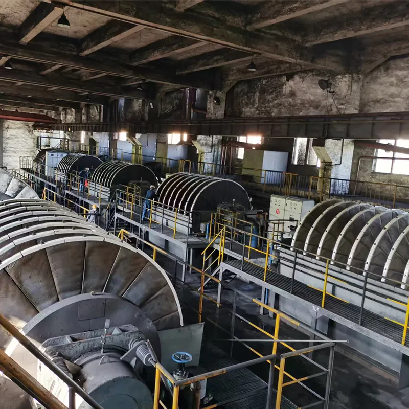 GPT Series Vacuum Disc Filter (Specializing in Concentrates and Tailings Dewateration)